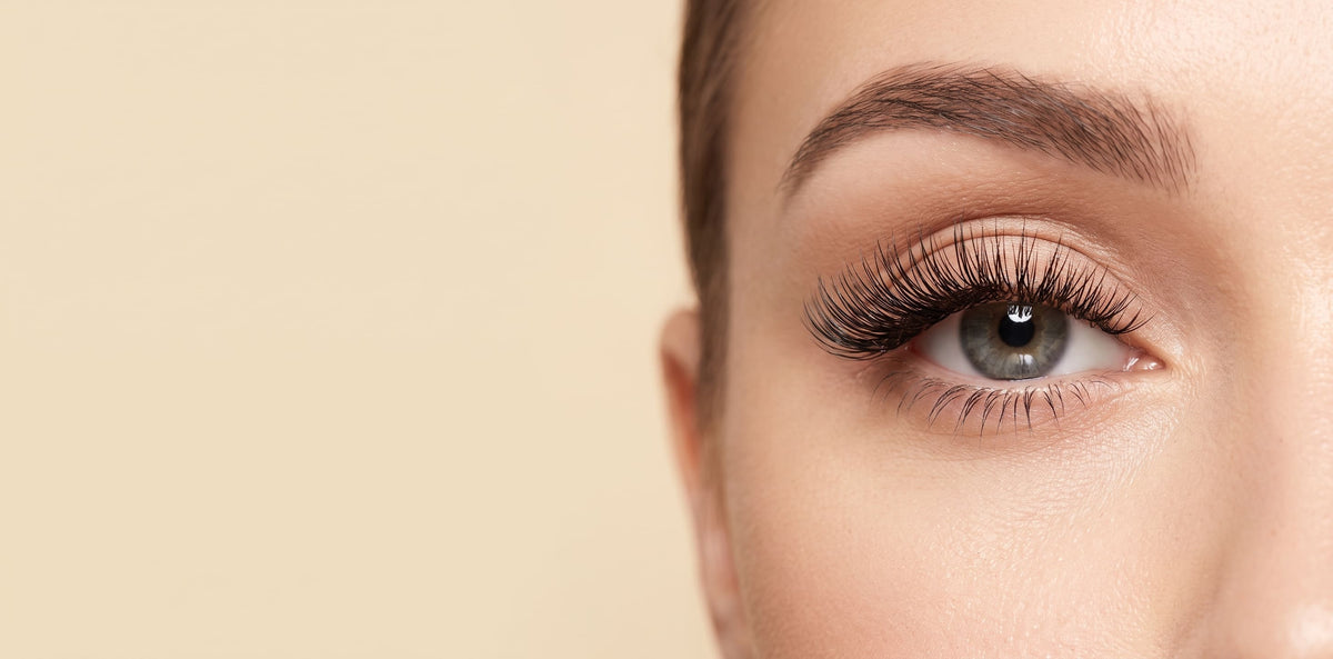 Lashes