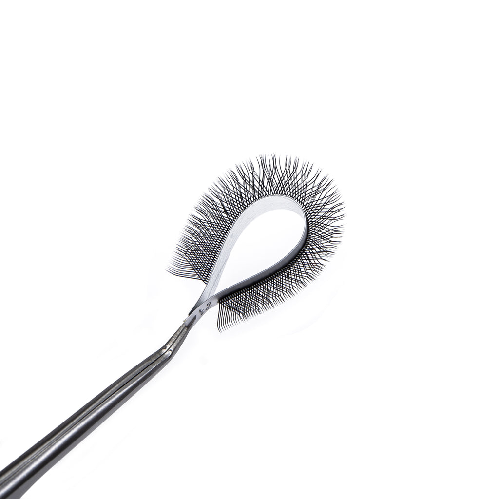 Lovely YY-2D Rili Eyelash Tray - 12 Lines Mix